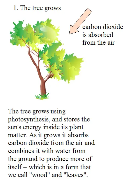 biomass energy figure 1