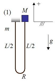 initial position of bungee jumper before he jumps