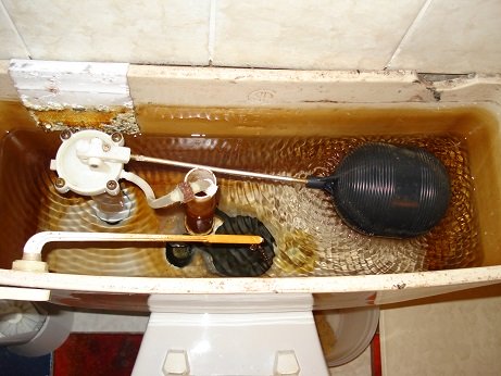 resonance in toilet tank