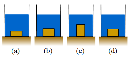 science quiz multiple choice problem 23